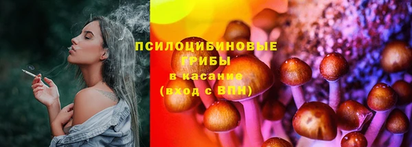 спайс Гусев