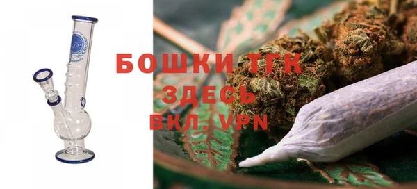 прущие грибы Горнозаводск