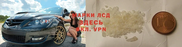 спайс Гусев