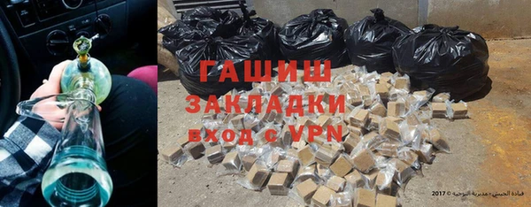 прущие грибы Горнозаводск