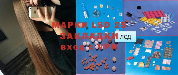 ECSTASY Горняк